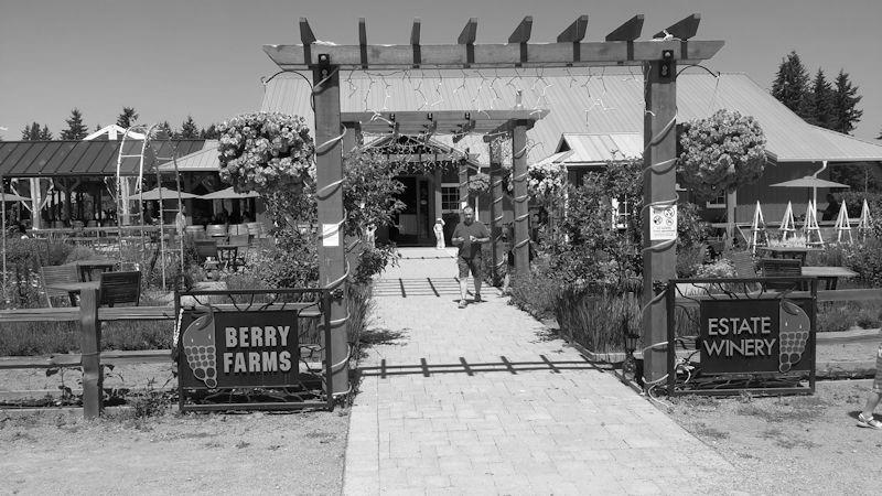 Krause Berry Farms and Estate Winery image 1