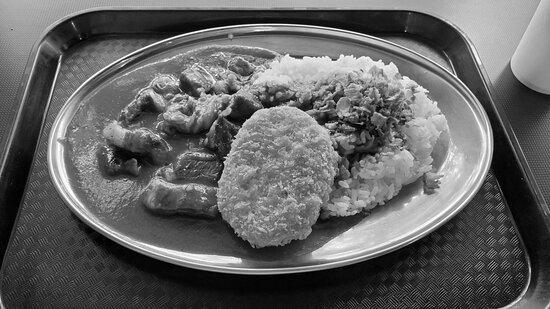 Mr japanese curry image 0